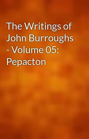 The Writings of John Burroughs — Volume 05 Pepacton